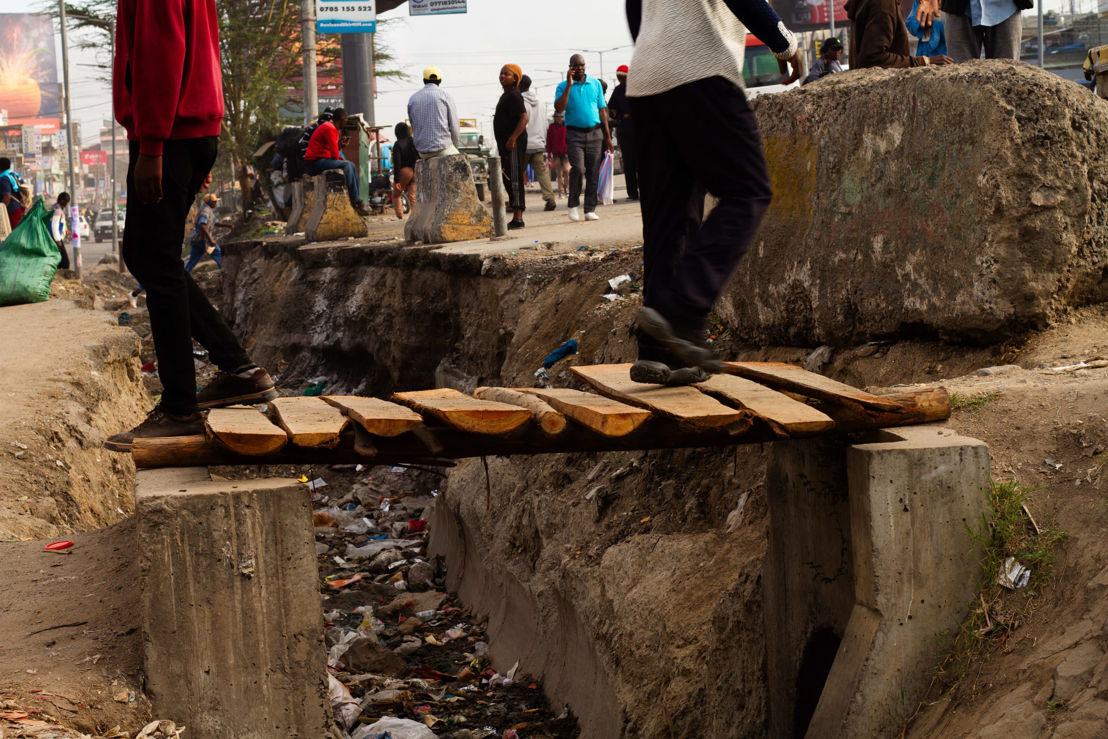 Health survey data collection